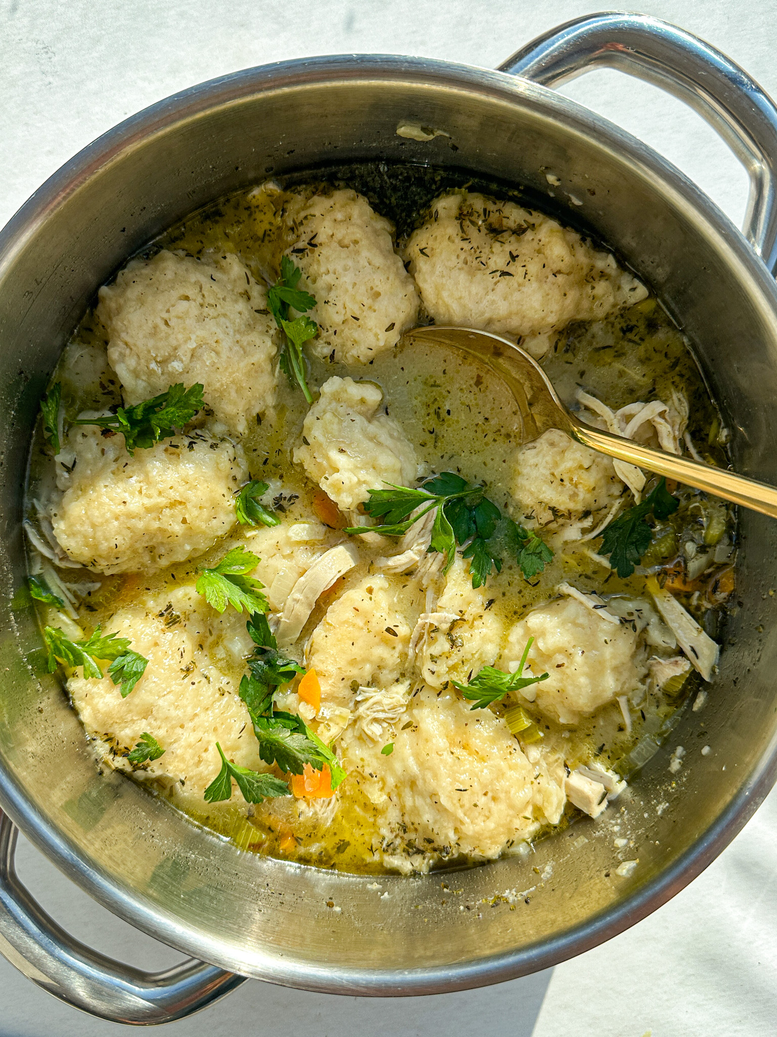 dumpling soup